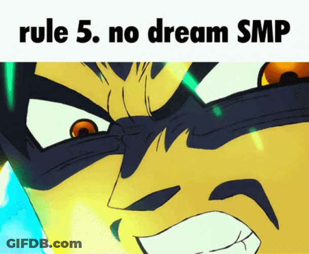 No Dream Smp Rule No. 5 GIF