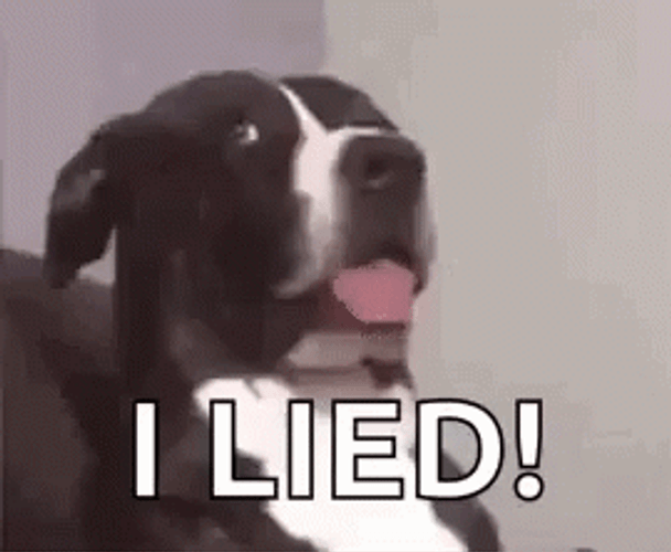 No From Me Dawg Funny Dog Moment GIF