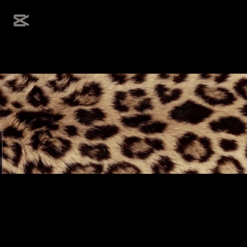 No GIF
