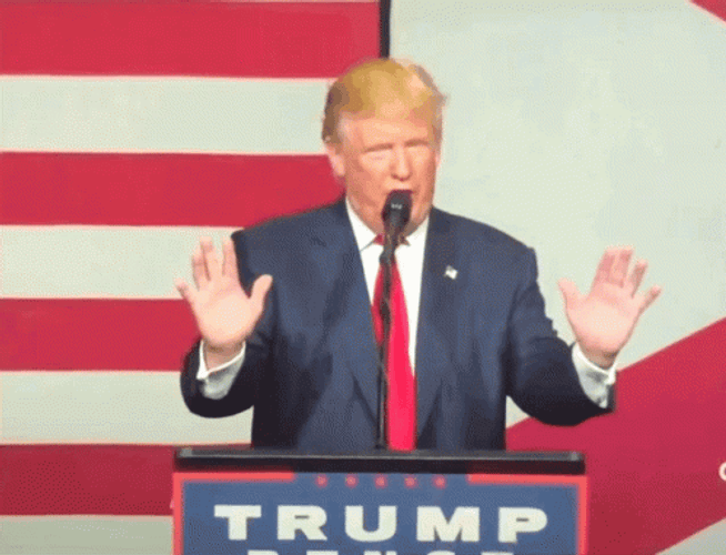 No I Don't Think I Will Donald Trump GIF