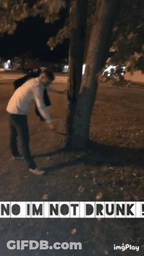 No I'm Not Drunk Meme GIF