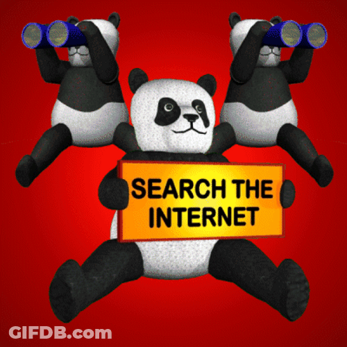 No Interne Bears Searching The Internet GIF