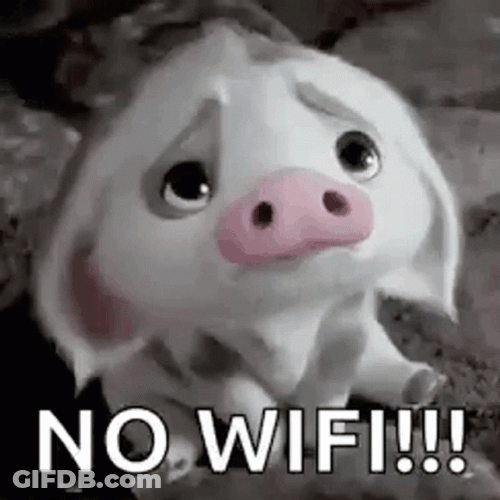 No Internet Sad Piglet GIF