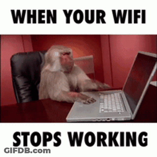 No Internet Stop Working Monkey GIF