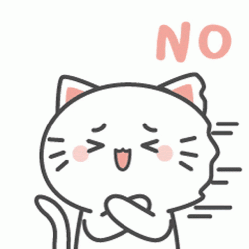 No Kiki Cat GIF