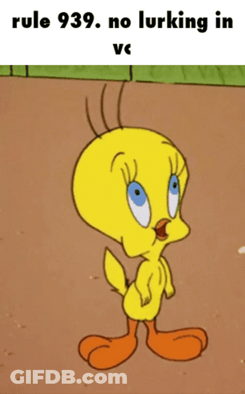 No Lurking In Video Call Tweety GIF
