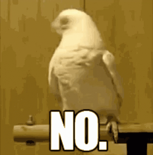 No Meme Bird Headshake GIF