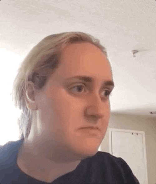 No Meme Brittany Broski GIF