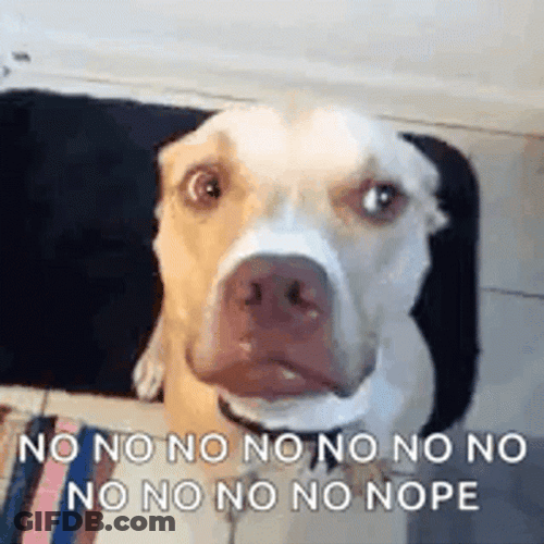 No Meme Dog Headshake GIF