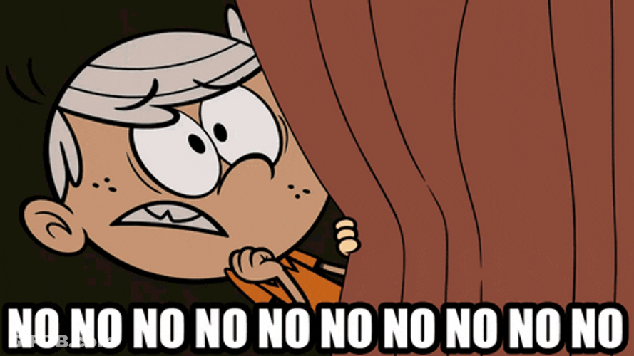 No Meme The Loud House GIF