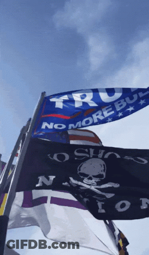 No More Bull Flags Flying In Wind GIF