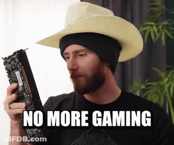 No More Gaming Graphics Card Drop Linus GIF