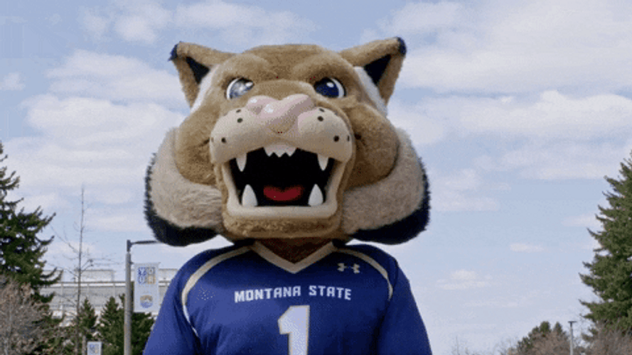 No No No Montana State Bobcats Mascot GIF