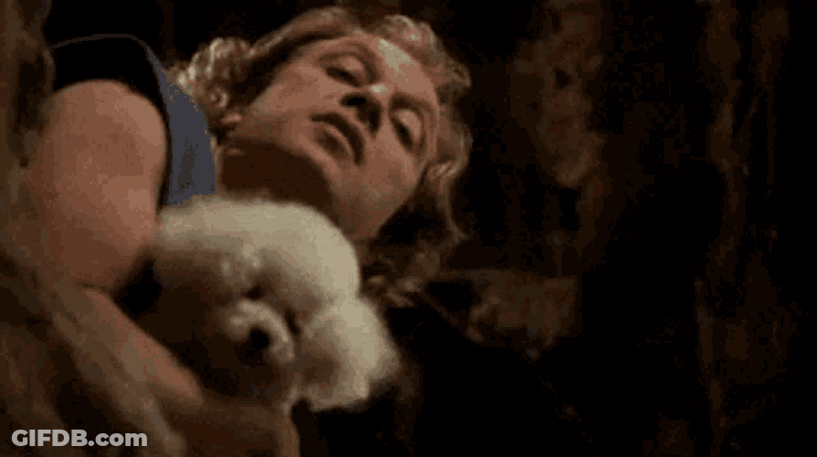 No Nope GIF