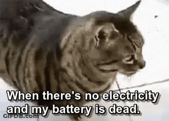 No Power Chubby Cat Passing Out Meme GIF