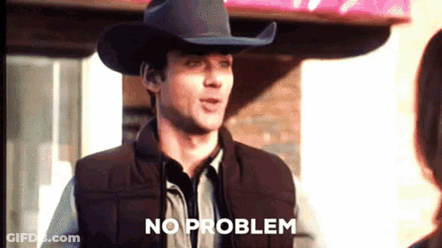 No Problem GIF