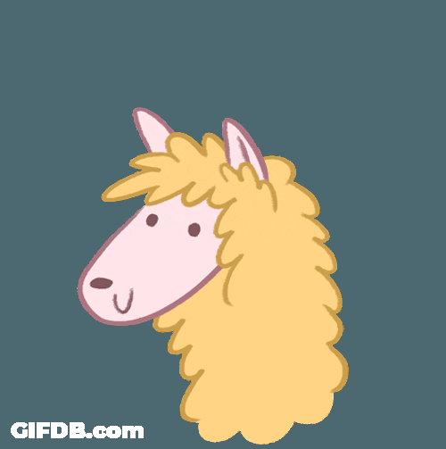 No Problem No Prob Llama Pun GIF