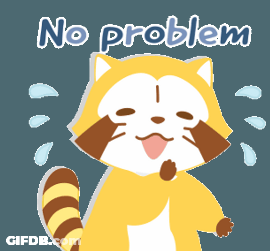 No Problem Raccoon Shy All Good GIF