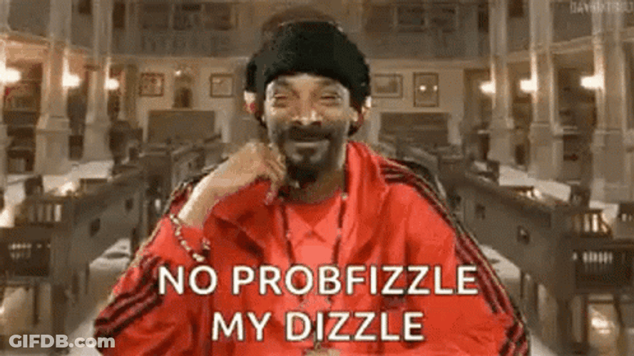 No Problem Snoop Dog No Probfizzle My Dizzle GIF