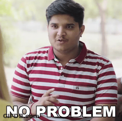 No Problem The Mridul GIF