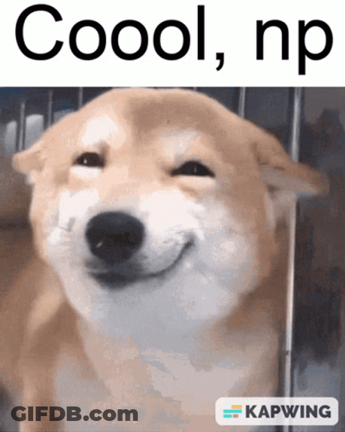 No Problemo Cute Dog GIF