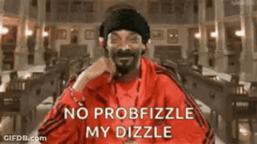 No Problemo Snoop Dogg GIF