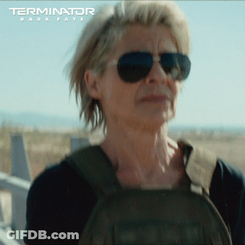No Problemo Terminator 2 Mood GIF