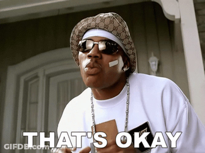No Problemo Thats Okay Nelly GIF