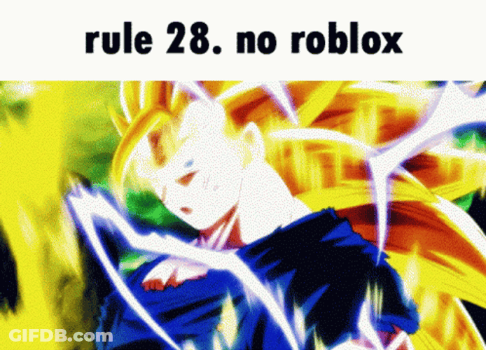No Roblox Rule 28 Goku Meme GIF
