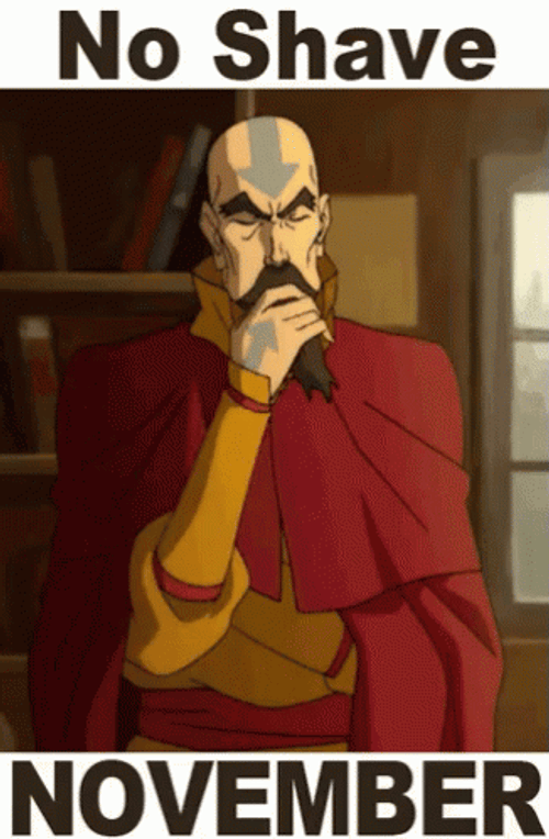 No Shave November Beard Avatar The Last Airbender GIF