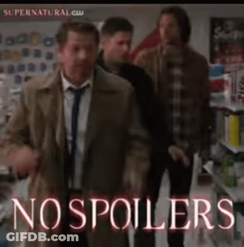 No Spoilers Sam Defeaned GIF