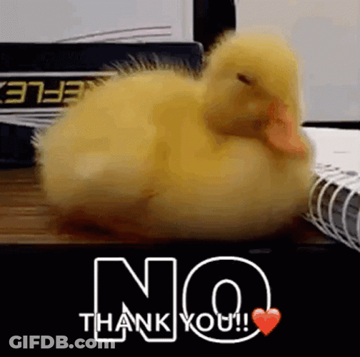 No Thank You GIF