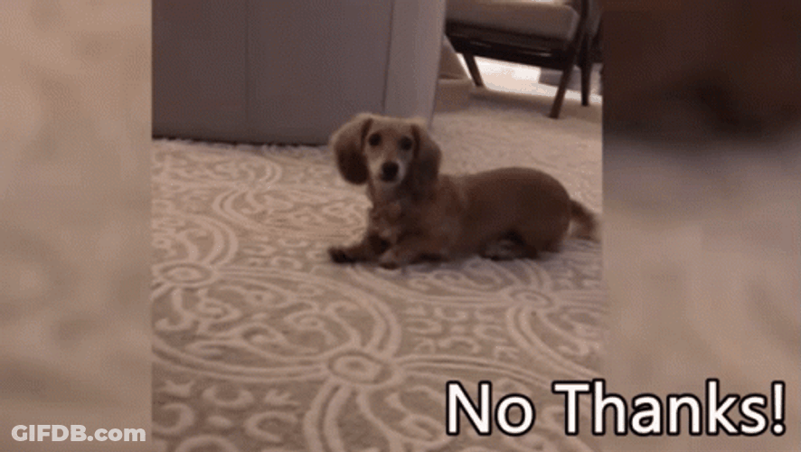 No Thanks Cute Puppy Crawling Backwards GIF