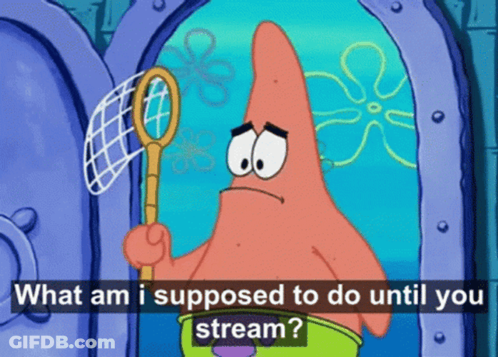 No This Is Patrick Holding Butterfly Net GIF