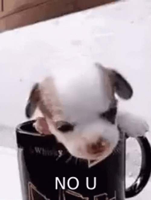 No U Little Puppy Yawn GIF