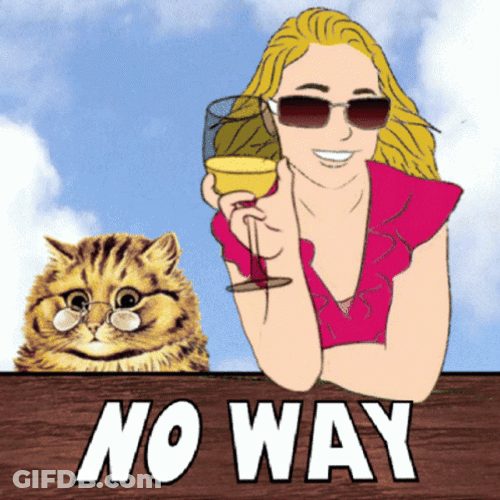 No Way Cat Lady GIF