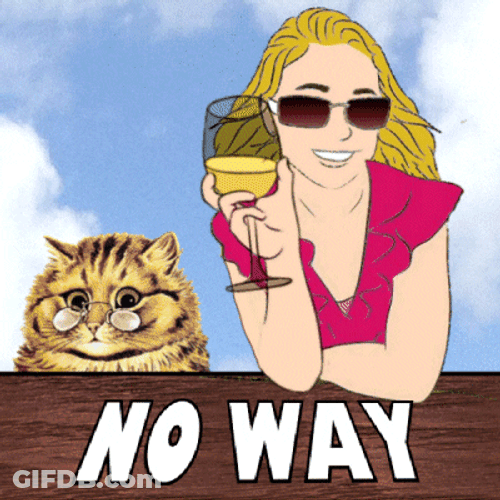 No Way I Don't Think So GIF