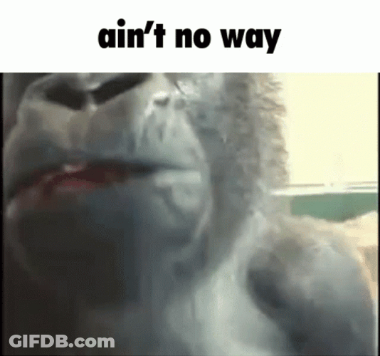 No Way Monkey Gorilla Chewing GIF