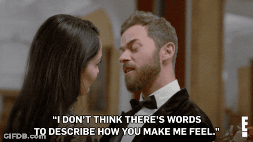 No Words To Describe GIF