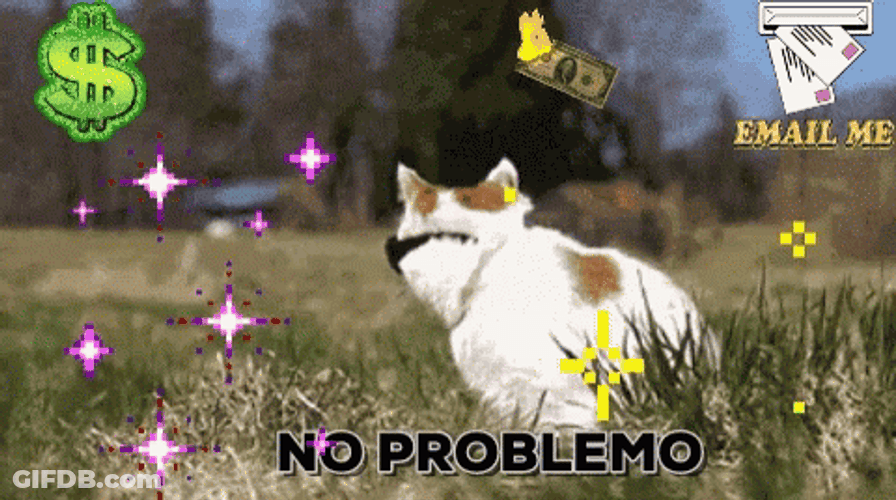 No Worries No Problemo Cool Cat GIF
