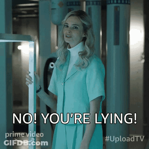 No You Are Lying Ingrid Kannerman GIF