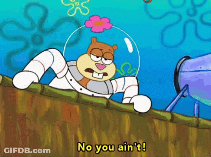 No You Are Not Sandy Cheeks GIF