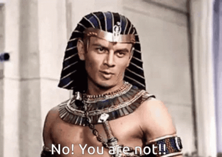 No You Are Not Yul Brynner Movie GIF