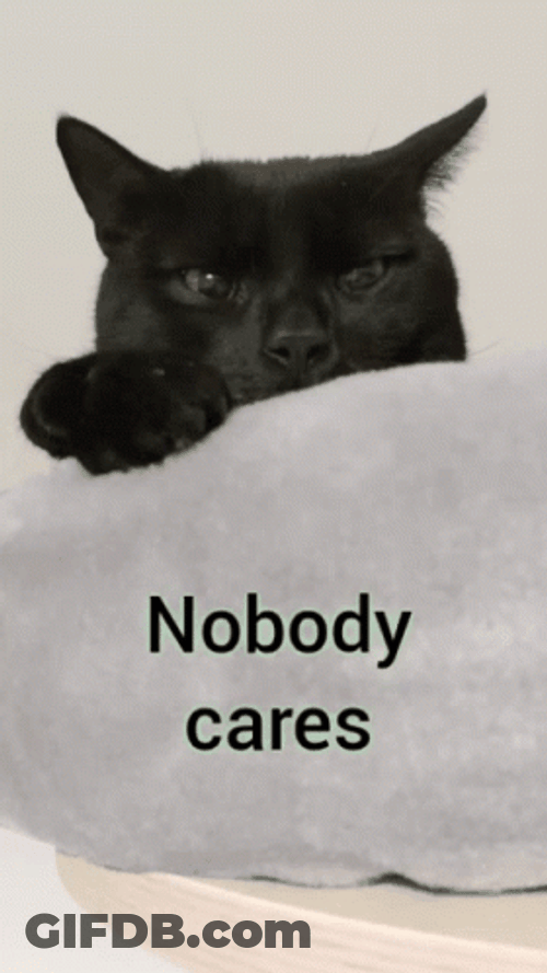 Nobody Cares Emo Black Cat GIF