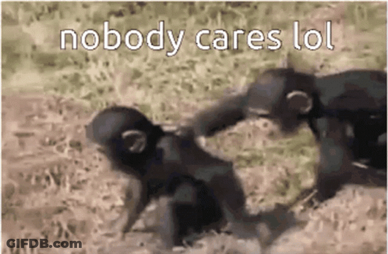Nobody Cares Funny Baby Monkey Pushed GIF