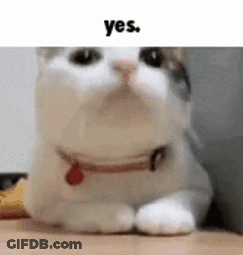 Nodding Cat Yess GIF