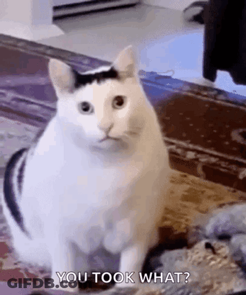 Nodding Huh Cat Meme GIF