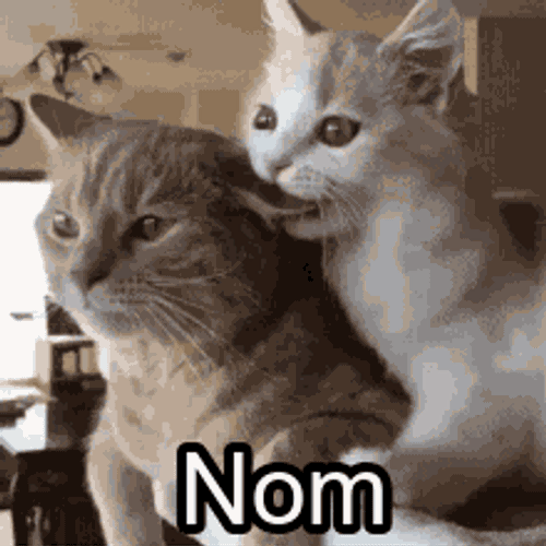 Nom Ear GIF