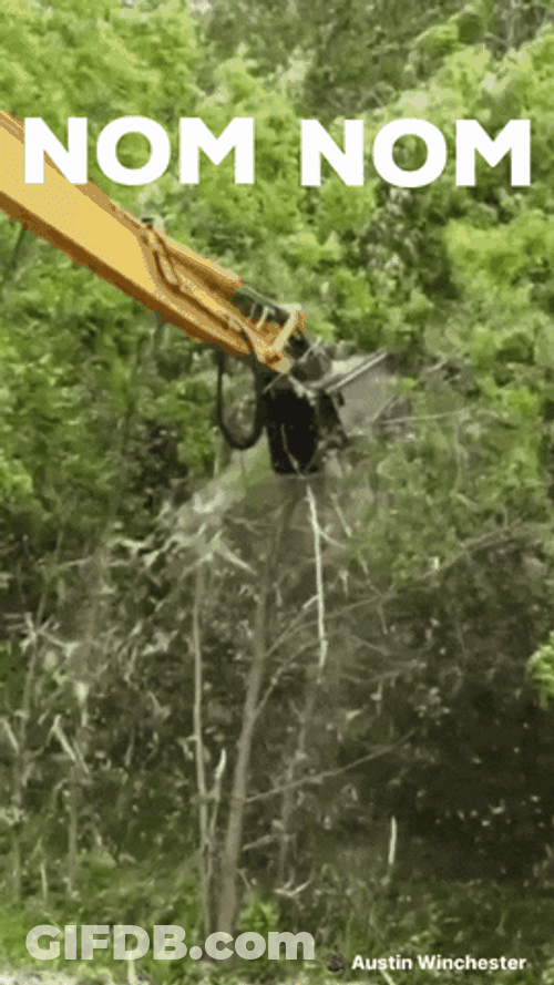 Nom Nom GIF