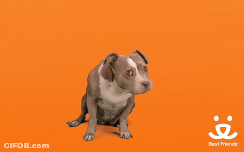 Nom Nom GIF